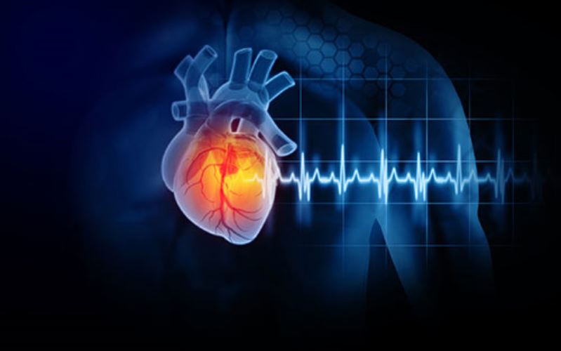 What’s the Difference Between a Heart Attack and Cardiac Arrest?
