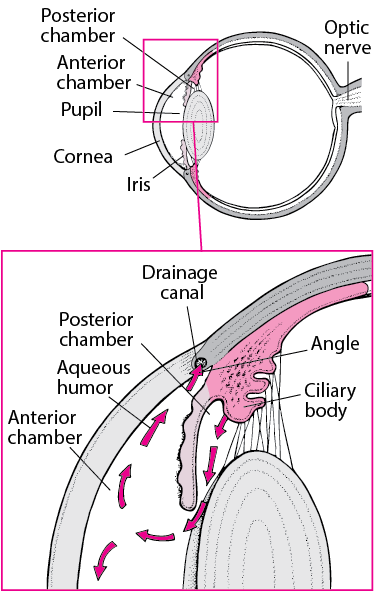 Normal Fluid Drainage