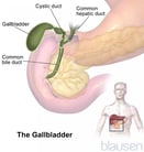 Gallbladder and Biliary Tract