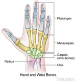 Overview of Hand Disorders