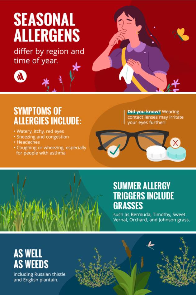 Summer Allergies 