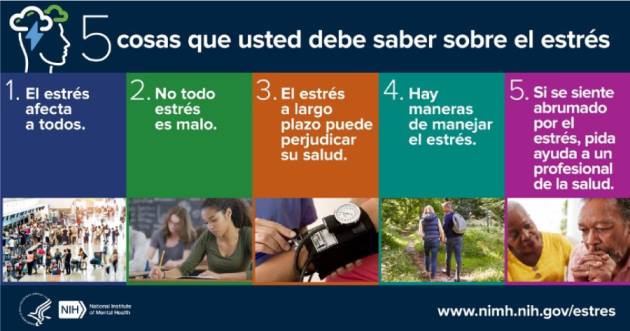 5 cosas que usted debe saber sobre el estrés