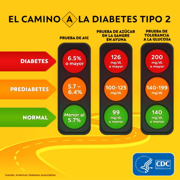 El Camino A La Diabetes Tipo 2