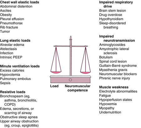 The balance between load (resistive, elastic, and minute ventilation) and neuromuscular competence (drive, transmission, and muscle strength) determines the ability to sustain alveolar ventilation