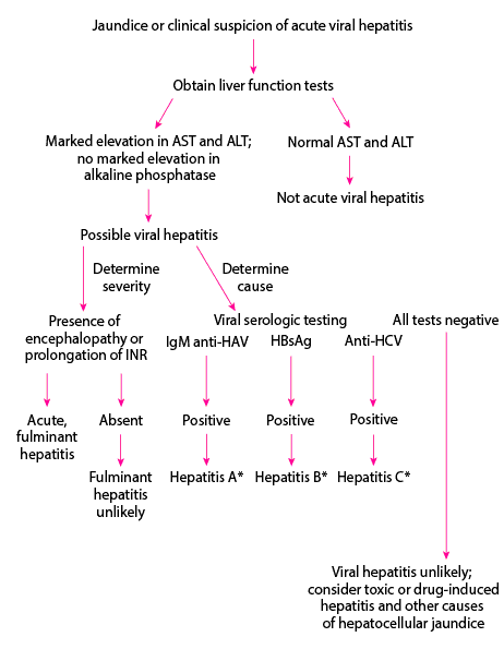 Simplified diagnostic approach to possible acute viral hepatitis