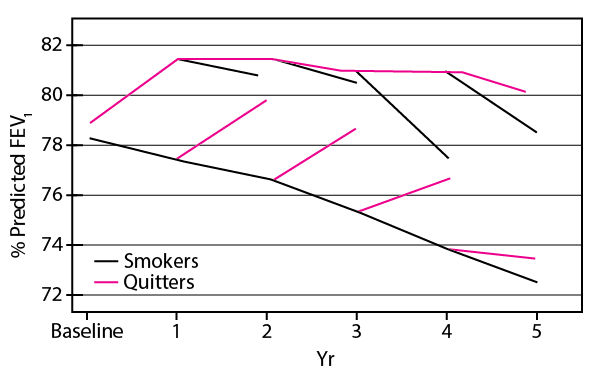 Changes in lung function (percentage of predicted FEV1) in patients who quit smoking compared with those who continue