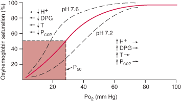 Oxyhemoglobin dissociation curve