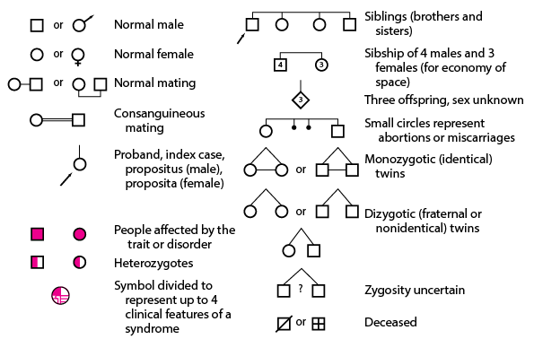 Symbols for constructing a family pedigree