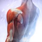 Joint Pain: Many Joints