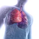 Maladie pulmonaire interstitielle associée à une bronchiolite respiratoire et pneumonie interstitielle desquamative